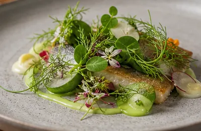 New Nordic cuisine