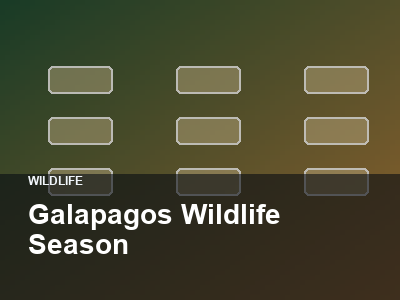 Galapagos Wildlife Season thumbnail