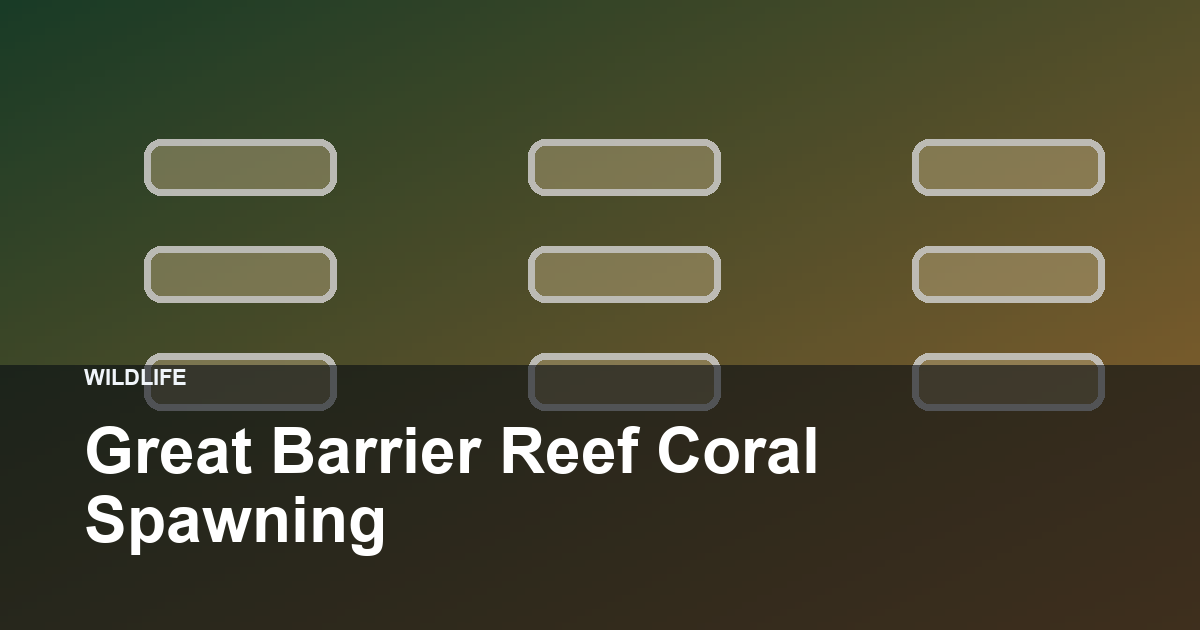 Great Barrier Reef Coral Spawning hero image