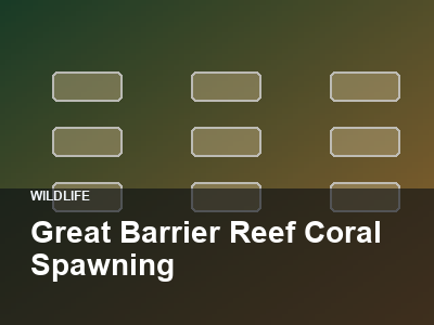 Great Barrier Reef Coral Spawning thumbnail