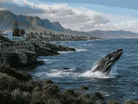Hermanus Whale Festival thumbnail