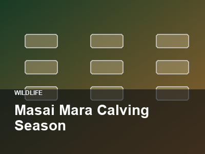 Masai Mara Calving Season thumbnail