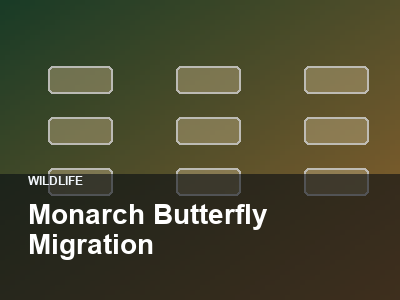 Monarch Butterfly Migration thumbnail