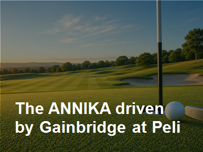 The Annika thumbnail