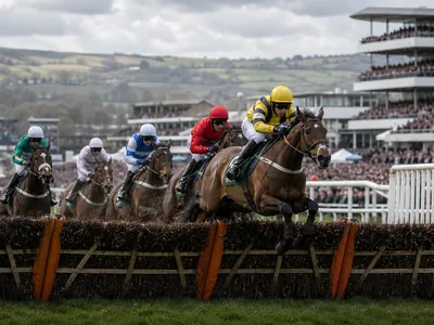 Cheltenham Gold Cup thumbnail