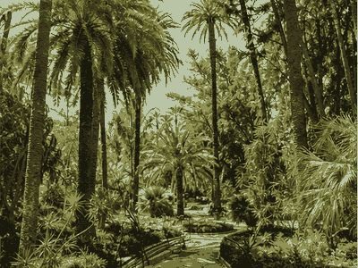Botanical Garden of Hamma, Algiers
