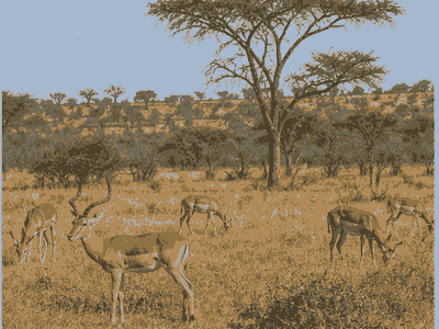 Gaborone Game Reserve, Gaborone