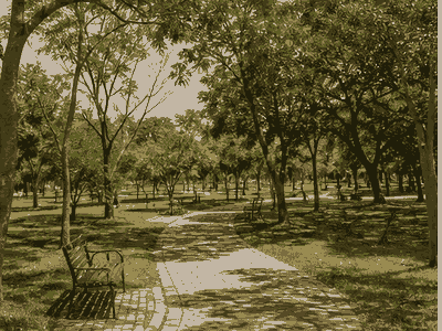 Bangr-Weoogo Urban Park, Ouagadougou