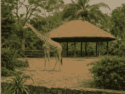 Mvog-Betsi Zoo, Yaounde