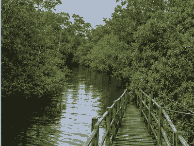 Akanda National Park, Libreville