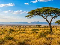 Africa thumbnail