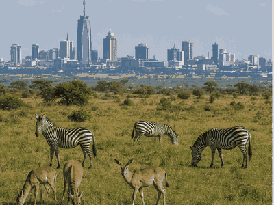 Nairobi National Park, Nairobi