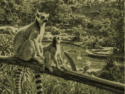 Tsimbazaza Zoo, Antananarivo