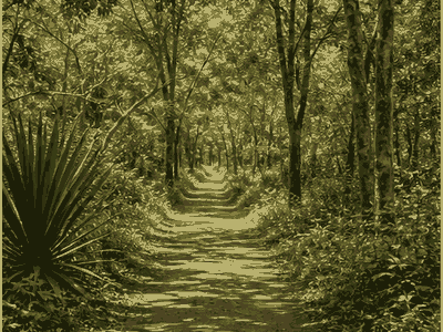 Lilongwe Nature Sanctuary, Lilongwe