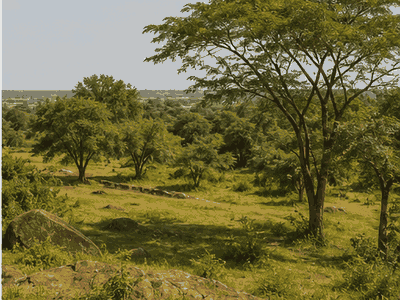 Mali National Park, Bamako