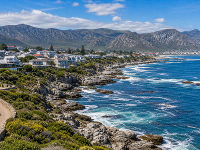 Hermanus thumbnail