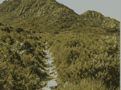 Fernkloof Nature Reserve, Hermanus