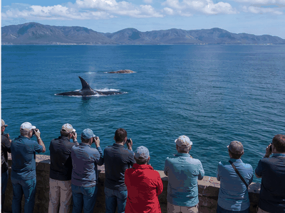 Walker Bay, Hermanus