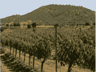 Chinangali Vineyards, Dodoma