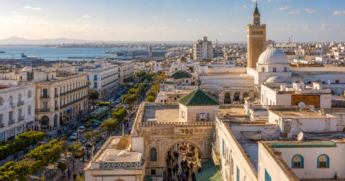 Tunis city waterfront and skyline