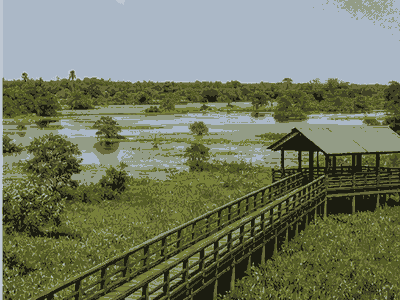 Beddagana Wetland Park, Sri Jayawardenepura Kotte