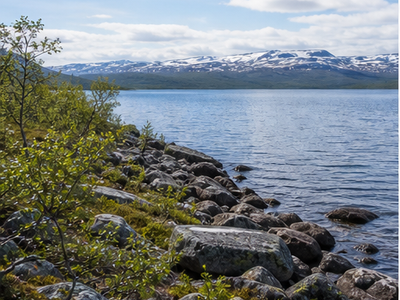 Tornetrask, Abisko