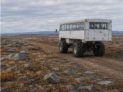 Tundra tours, Churchill