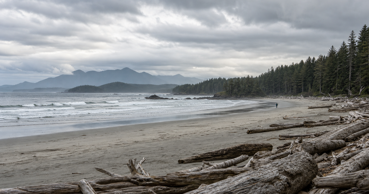 Tofino city waterfront and skyline