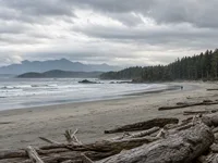 Tofino thumbnail