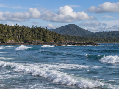 Cox Bay, Tofino