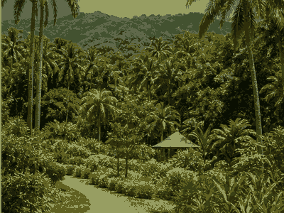 Botanical Gardens Saint Vincent, Kingstown