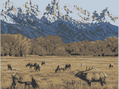 National Elk Refuge, Jackson