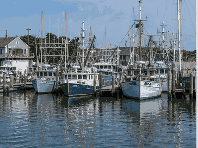 Gosman's Dock, Montauk