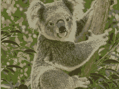 Lone Pine Koala Sanctuary, Brisbane