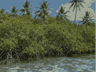 Funafuti Conservation Area, Funafuti