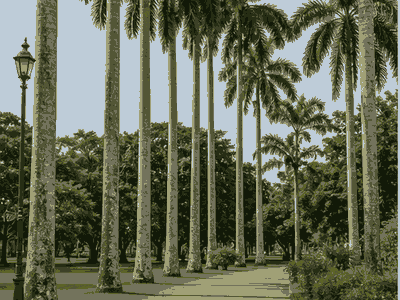 Saint Peter and Paul Cathedral, Paramaribo