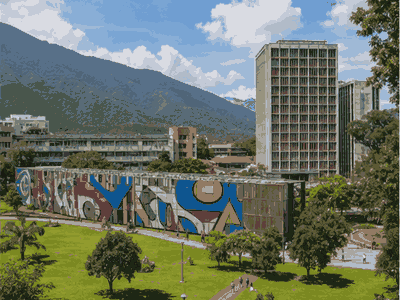 Museo de Bellas Artes, Caracas