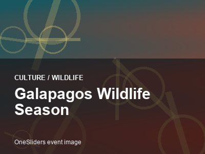 Galapagos Wildlife Season thumbnail