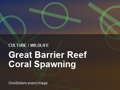 Great Barrier Reef Coral Spawning thumbnail