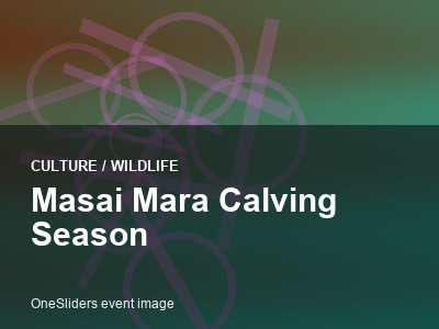 Masai Mara Calving Season thumbnail