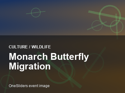 Monarch Butterfly Migration thumbnail