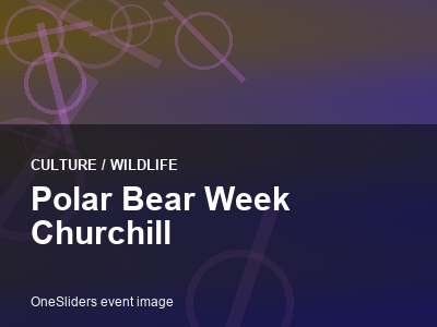Polar Bear Week Churchill thumbnail