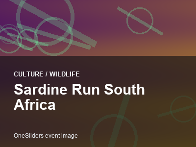 Sardine Run South Africa thumbnail